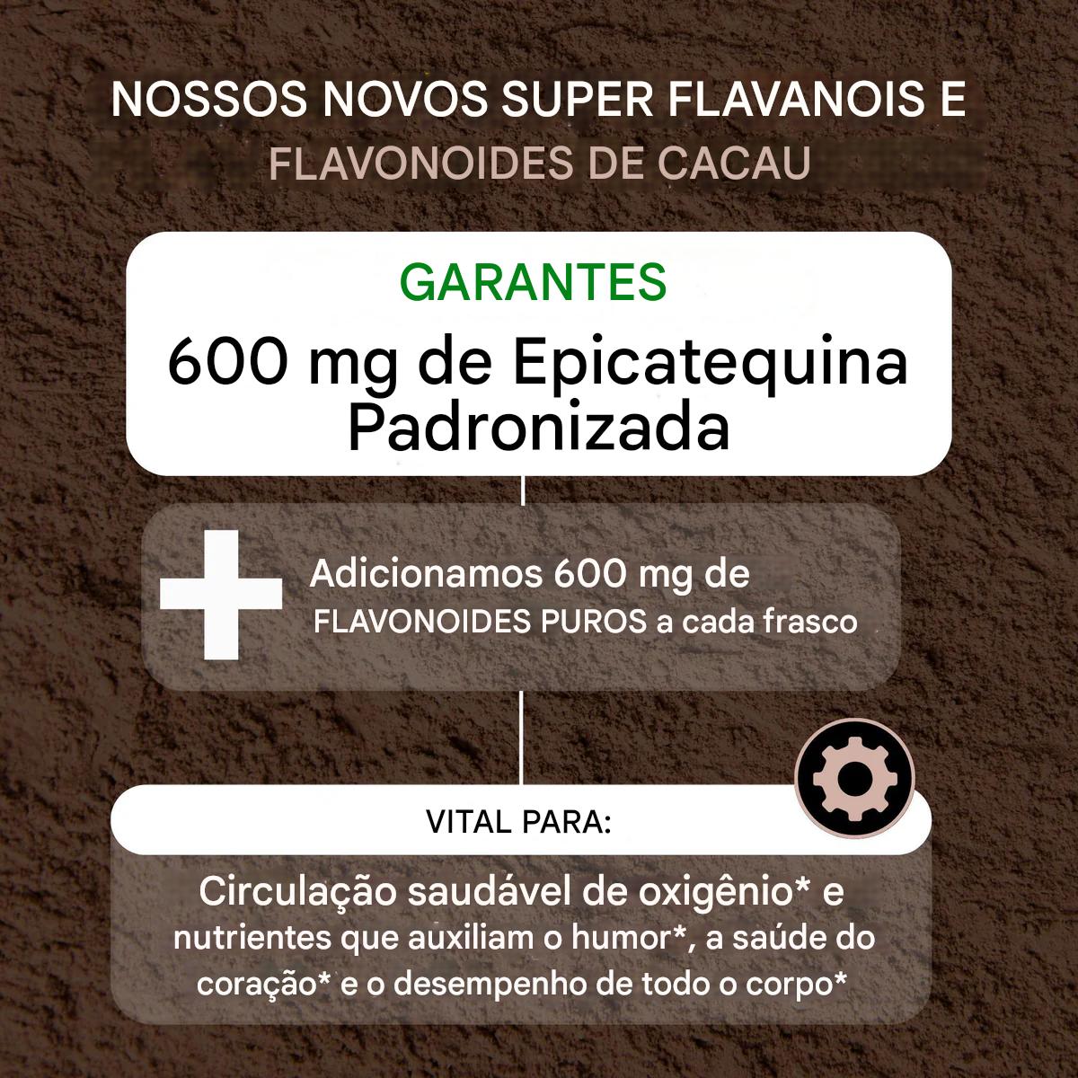 Cacau Supercarregado com Flavanóis e Flavonoides 1200mg